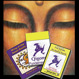 Medical & Spiritual Qigong Fundamentals 1 & 2 - Download Package - No S/H, no returns. $129.